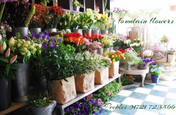 Image of Fountain Flowers shop front