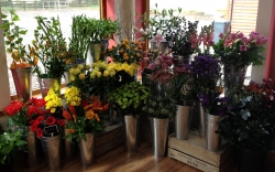 Green Room Florists