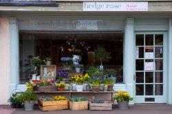 Image of Hedge Rose shop front