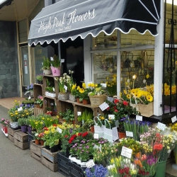 Image of High Peak Flowers shop front