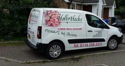 Hollyhocks // REMOVED