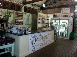 HollyHocks // REMOVED