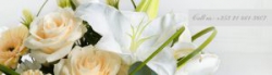 Image of Ina McCarthy for Flowers shop front