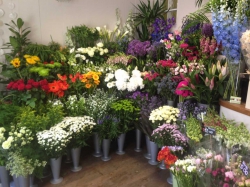Image of Jacaranda Flowers shop front