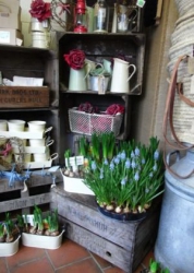 Kingfisher Flower Shop // REMOVED