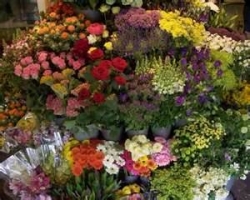 KINGSTON FLORIST ACT, florist in Kingston
