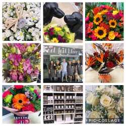Image of Knot Just Blooms shop front