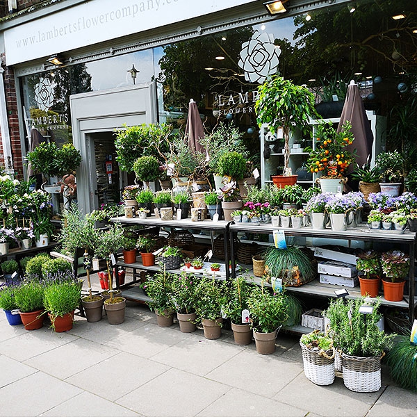 Image of Lamberts Flower Company shop front