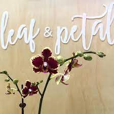 Leaf and Petal Palmerston North