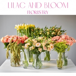 Lilac and Bloom