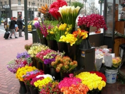 Image of Lillie flowers n more shop front