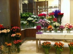 Love for Flowers