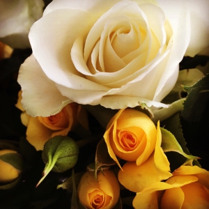 Image of Love in Bloom shop front