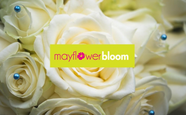Mayflower Bloom