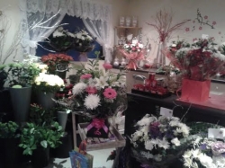 Mills and Bloom Florists Preston