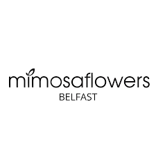 Mimosa Flowers Belfast (closed down)