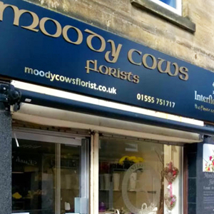 Image of Moodycows Florist shop front