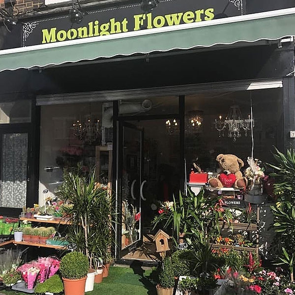 Moonlight Flowers and Cakes