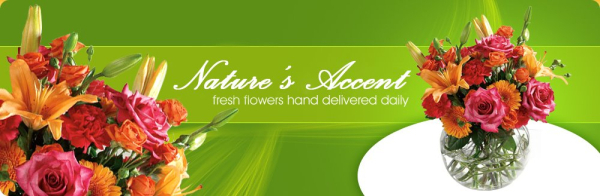 Image of Natures Accent shop front