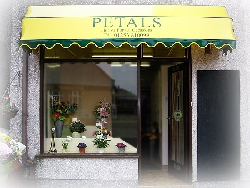 Petals // REMOVED