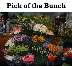 Pick Of The Bunch Florists // REMOVED