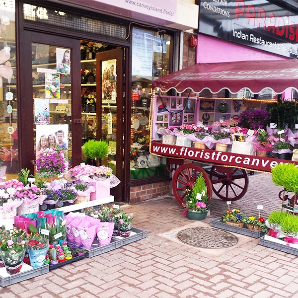 Plantwise Florist