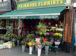 Image of Primrose Florists shop front
