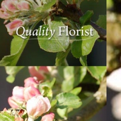 Image of Quality Florist shop front