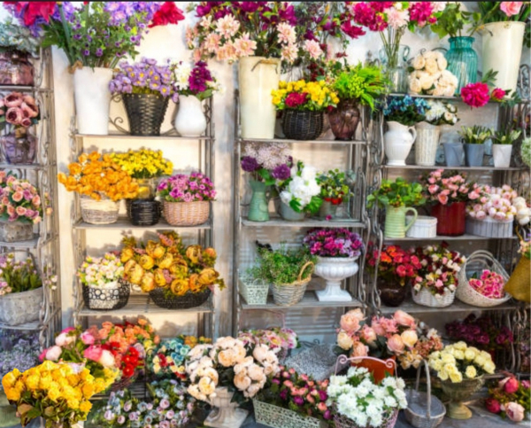 Image of Rosie Location shop front