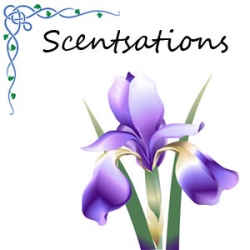 Scentsations // REMOVED