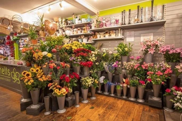 Image of Shirley Snells shop front