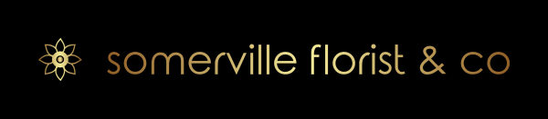 Somerville Florist and Hampers, florist in Somerville