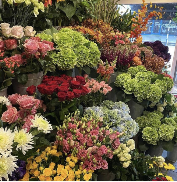 Image of Son-Flowers shop front
