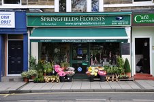 Springfields Florist // REMOVED