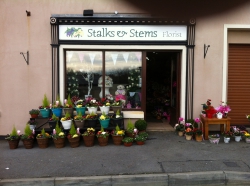 Image of Stalks and Stems Florist shop front