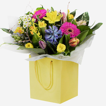 Meadow fresh-a cheerful spring bouquet with daffodils hyacinths and gerberas in a yellow gift bag a cheerful spring bouquet with daffodils hyacinths and gerberas in a yellow gift bag a cheerful spring bouquet with daffodils hyacinths and gerberas in a yel