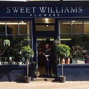 Sweet Williams Flowers // REMOVED