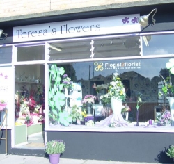 Teresa's Flowers