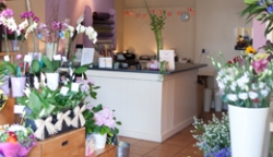 The Ashton Flower Shop
