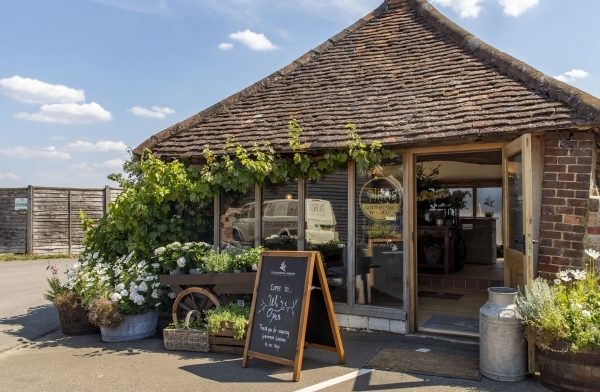 Image of The Botanical Company  shop front