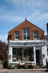 The Flower Boutique
