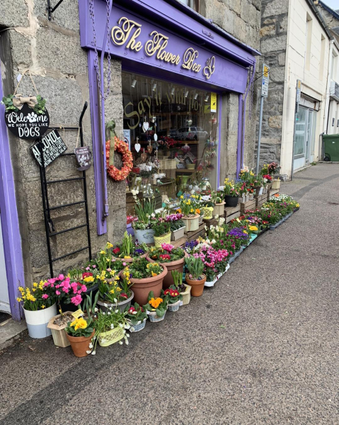 Image of The Flower Box shop front