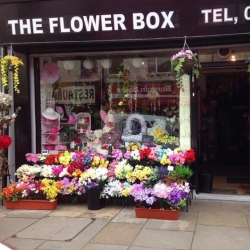 The Flower Box