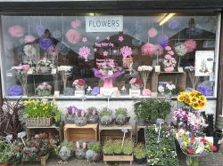 Image of The Flower Fountain Ltd shop front