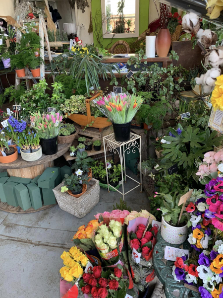 The Flower Gallery