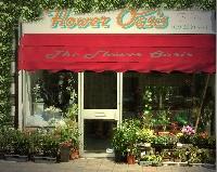 The Flower Oasis // REMOVED
