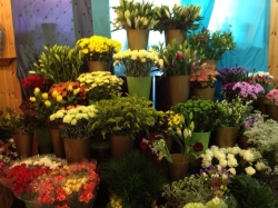 The Flower Shop