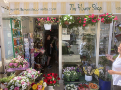 Image of The Flower Shop Malta shop front