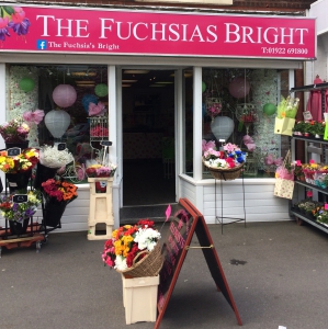 The Fuchsias Bright // REMOVED
