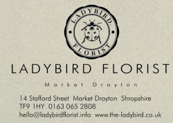 The Ladybird Florist // REMOVED